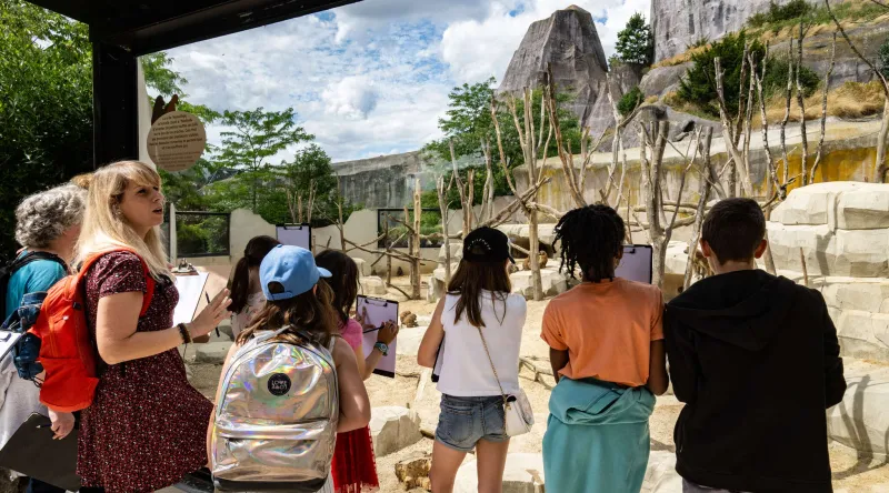 Balade dessinée au Parc zoologique de Paris